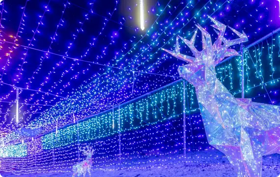 キラキラと輝くイルミネーション